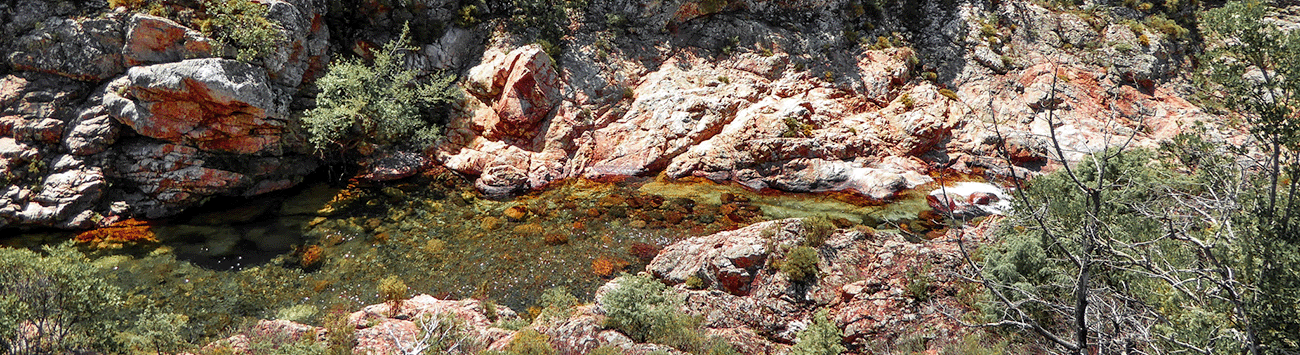 Bienvenue sur l'agenda culturel de la Balagne !